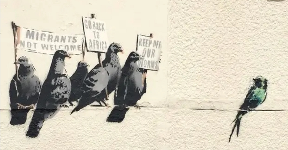 Pigeons and xenophobia